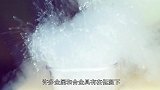 盘点4个最有趣的科学实验！遇水融化的勺子？厉害了！