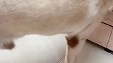 诶…这是谁家的傻儿子啊？一点也不随妈…真是没谁了…