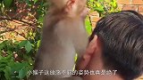 躺在主人怀里的小猴子，一脸放荡不羁：这瓶奶真好喝
