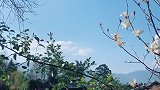 万事皆有终散，唯有美景不散。