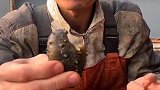 高蛋白海参这个正经了吧