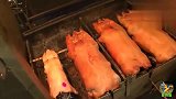 香港美食之炭烧大金猪2烧肉还是大猪好吃，炭烧又是关键技术所在