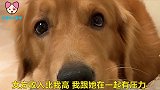 金毛相亲被女方的高薪资给下退缩了，男主的话改变了金毛的想法