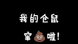 小仓鼠能有什么坏心思呢？