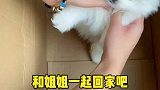 我也是有狗狗的人了