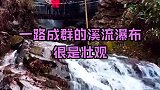 杭州周边也有如此美景，置身竹林世界，那就一个“凉爽”