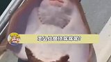这是啥鱼啊？竟然会笑
