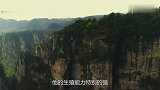 世界上“最高”的树被称树中“抽水机”，周围没有植物存活