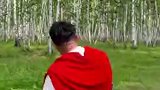 2024“遇见北疆”短视频采风活动｜白桦林拍摄攻略