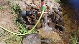 不可思议的水锤泵，不用油不用电，为何能将水泵送至高处