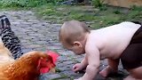 鸡狂啄萌娃，萌娃一招将其制服，鸡：这娃不好惹