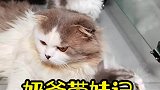 一眨眼的功夫，崽儿们都满屋跑了