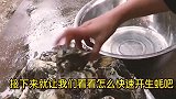 教大家快速开生蚝的小方法，非常的使用，一起来试试吧！