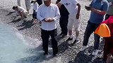 海边惊现大量鱼群，太震撼了！