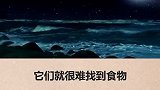如果月球突然消失地球将会怎么样？