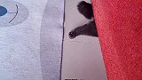 以后卡沙发底下准能有人救我