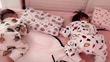 龙凤胎宝宝睡觉的样子真乖，全部都是趴着的姿势，真是让人喜欢！