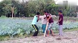 印度搞笑合集，跟稻草人较真，真有才