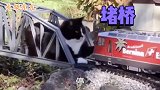 搞笑配音 猫：不留下几条小鱼干，这车别想过这座桥
