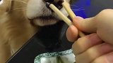 哎，馋死了我了
