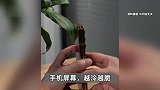 越冷越脆！折叠屏手机到东北秒变雪糕脆皮！建议有外屏用外屏