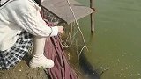 农村小姐姐在私家鱼塘偷了一条鱼，跑路的样子真可爱！
