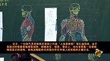 台湾男教师走红,人体骨骼图堪称完美!