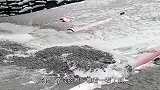 爆笑：本以为你们在秀恩爱，但我却越看越恶心
