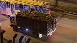 富贵险中求，这小伙爬车取香蕉