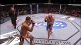 UFC-15年-UFC Fight Night 68前瞻：波特舍精彩对战集锦-专题