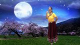 福建龙岩秋英广场舞《月光下的梦恋》藏舞