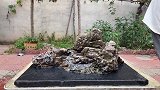 小媳妇收获奇石“鳄鱼山”，沟壑峡谷应有尽有，造型更是罕见