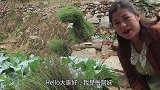自家地里种的南瓜做爷爷奶奶最爱的南瓜糕，阿妹吃得停不下来