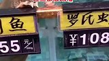 竞争压力大，连龟都想抬高身价