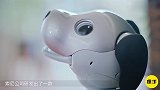 会撒娇卖萌的机器狗，比宠物狗聪明，汪星人地位不保