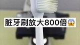 旧牙刷放大800倍，细菌和脏物质遍布，你看了还敢用吗