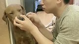 小迷糊又被亲爹咬伤，赛文心疼不已，姥爷把老四骂哭