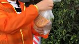 说实话，这一单心惊胆战的～