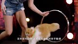 雪豹宝宝被抓后颈，下一秒反应萌化，镜头记录搞笑画面！
