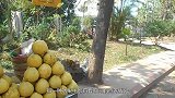 史上最独特的4种水果，你或许从来听说过，看完涨见识了！