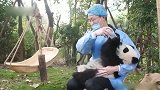 大熊猫：这瓶奶我干了，你们随意！