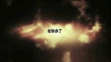 白鲸幼崽一出生就很可爱