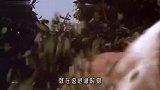 主人故意落水，下一秒12只金毛的反应，把人都看哭了