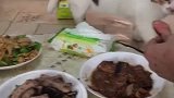 猫：饿的不行了，快开饭吧！