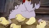 猫和老鼠：汤姆失误，剪光了鸡妈妈的毛，鸡妈妈怒了