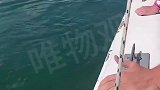 国外男子深海喂鱼，还好反应够快，不然喂的不只是一条小鱼了啊！