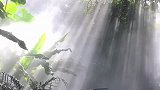 又是晴朗的一天