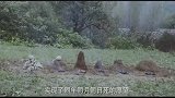 结拜有风险