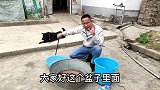 10只土狗和40条腿的蜈蚣对战，看看谁会赢？结果还真没有想到