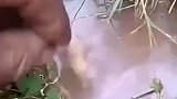 看到这一幕我很惊讶，这鱼怎么饿成这样
